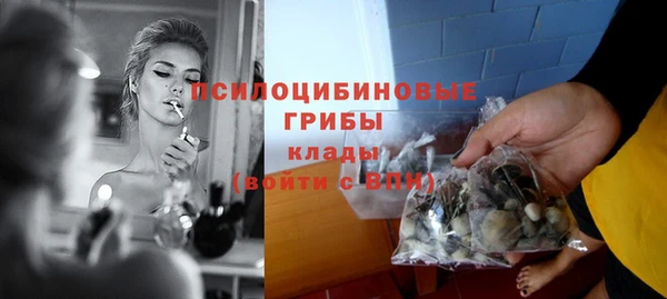 крисы Вязьма
