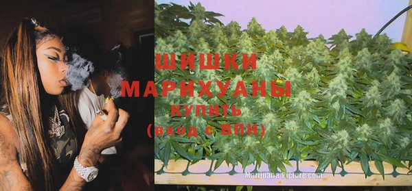 ешки Вяземский