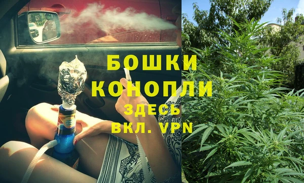 крисы Вязьма