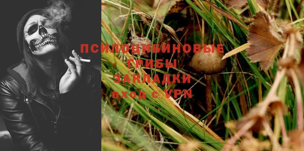 крисы Вязьма