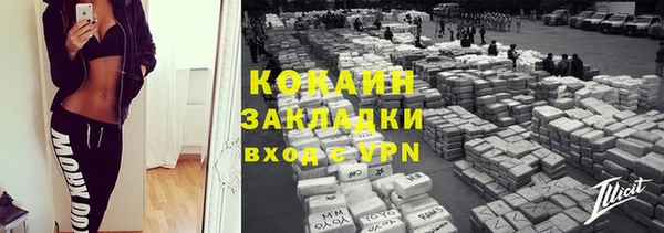 крисы Вязьма