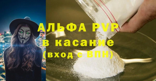 крисы Вязьма