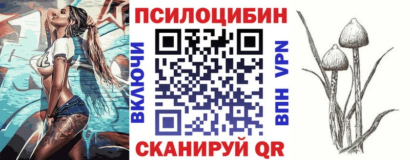 Псилоцибиновые грибы Psilocybe MEGA вход Данков